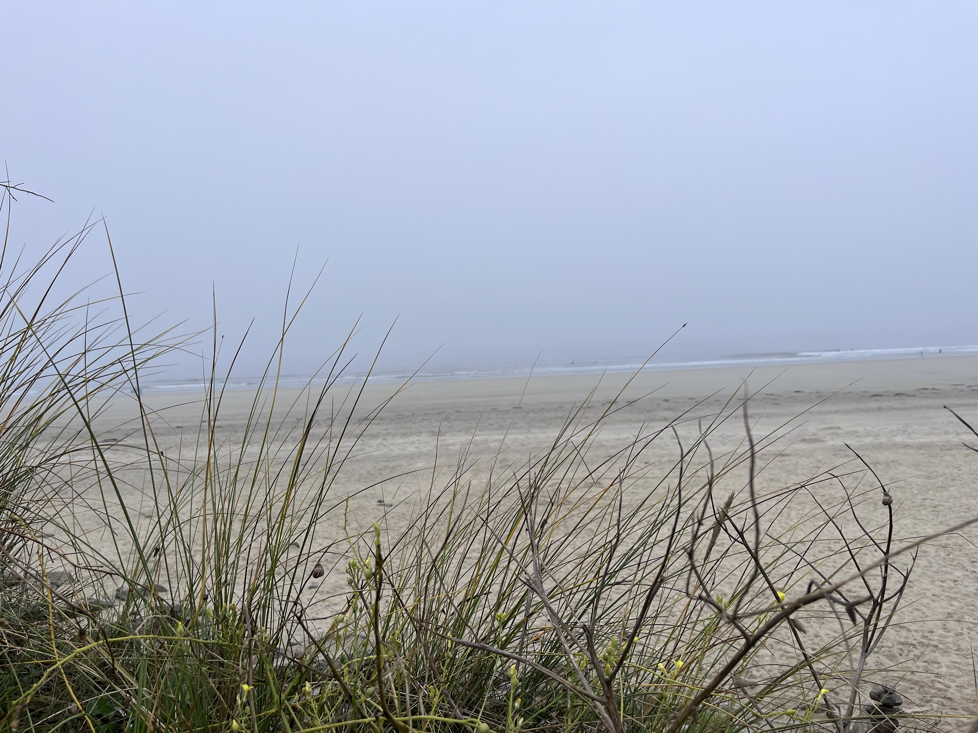 Een Ochtend op het Mistige Strand van Le Conquet: Een Wandeling vol Schoonheid en Rust